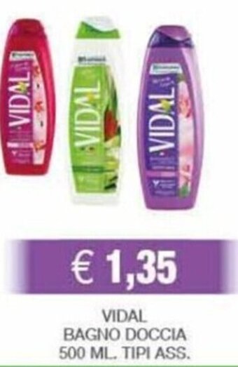 Kuadrifoglio VIDAL BAGNO DOCCIA 500 ML. TIPI ASS. offerta