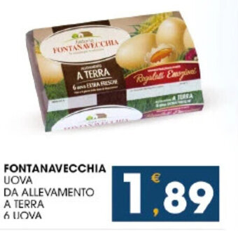 SeBón Supermercati FONTANAVECCHIA UOVA DA ALLEVAMENTO A TERRA 6 UOVA offerta
