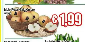 EMMEpiù F.lli orsero Mele Royal Gala offerta