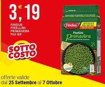 Vantaggio Cash&Carry FINDUS PISELLINI PRIMAVERA 700 GR offerta