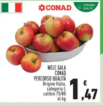 Conad MELE GALA CONAD PERCORSO QUALITÀ Origine Italia, categoria I, calibro 75/80 al kg offerta