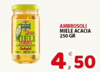 Premium Supermercati AMBROSOLI MIELE ACACIA 250 GR offerta