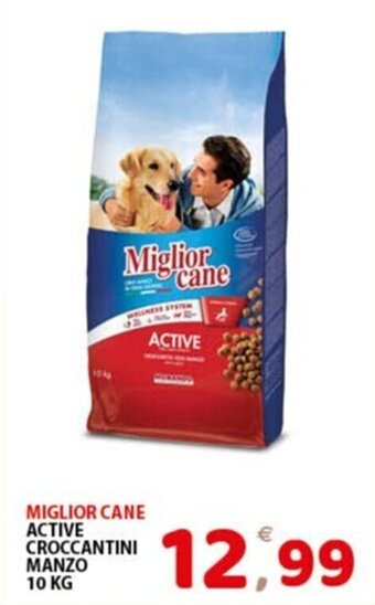Premium Supermercati MIGLIOR CANE ACTIVE CROCCANTINI MANZO 10 KG offerta