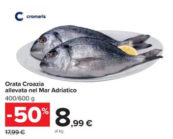 Orata Croazia allevata nel Mar Adriatico 400/600 g