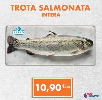 Iper Tosano TROTA SALMONATA INTERA offerta