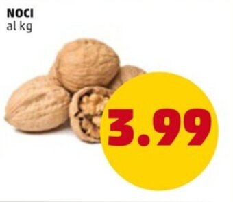 NOCI