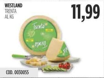 Carico Cash & Carry WESTLAND TRENTA offerta