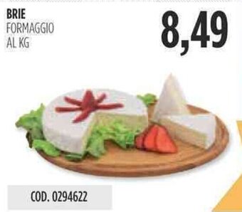 Carico Cash & Carry BRIE FORMAGGIO offerta