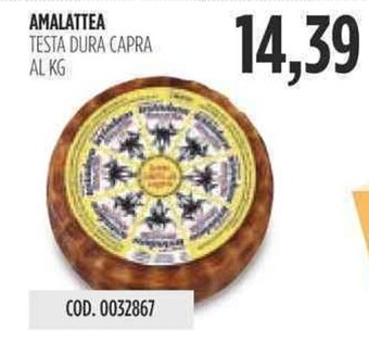 Carico Cash & Carry AMALATTEA TESTA DURA CAPRA offerta