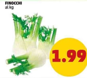 PENNY FINOCCHI offerta