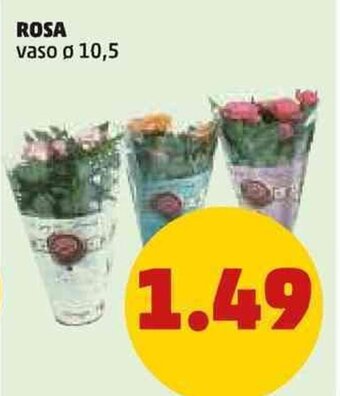 PENNY ROSA offerta