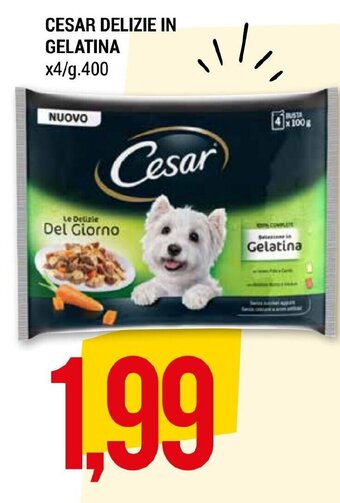 CESAR DELIZIE IN GELATINA x4/g.400