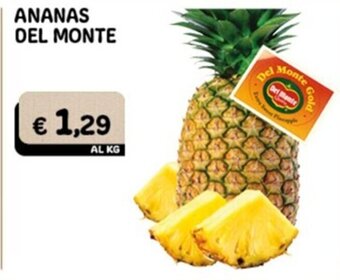 ANANAS DEL MONTE