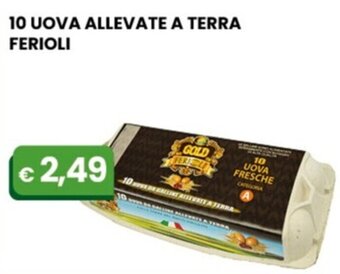 Gala Supermercati 10 UOVA ALLEVATE A TERRA FERIOLI offerta