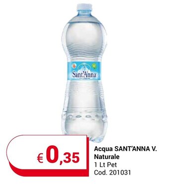 Acqua SANT'ANNA V. Naturale 1 Lt Pet