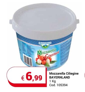 Centro Cash Mozzarella Ciliegine BAYERNLAND 1 Kg offerta