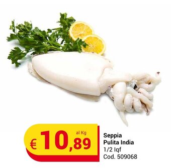 Seppia Pulita India 1/2 lqf