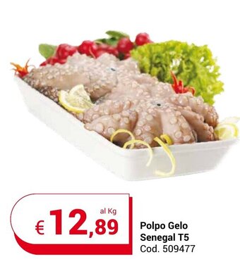 Centro Cash Polpo Gelo Senegal T5 offerta