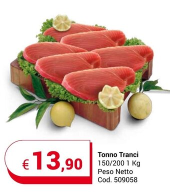 Tonno Tranci 150/200 1 Kg