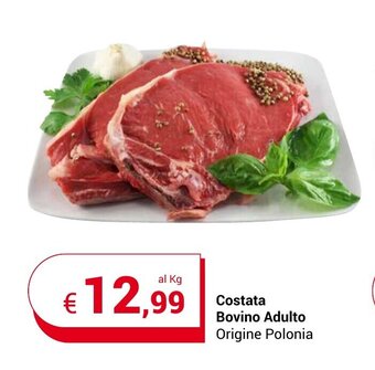 Centro Cash Costata Bovino Adulto offerta