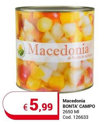 Centro Cash Macedonia BONTA' CAMPO 2650 MI offerta