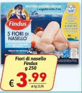Ipercarni Fiori di nasello Findus g 250 offerta