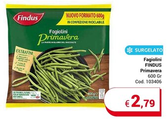 Centro Cash Fagiolini FINDUS Primavera 600 Gr offerta