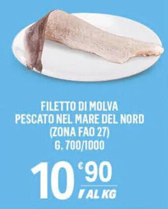 FILETTO DI MOLVA