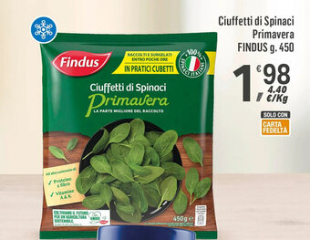 Supermercati Dok Ciuffetti di Spinaci Primavera FINDUS g. 450 offerta