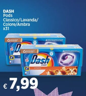 DASH Pods Classico/Lavanda/ Colore/Ambra x31