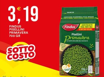 FINDUS PISELLINI PRIMAVERA 700 GR