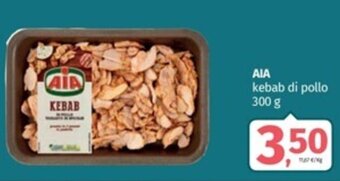 AIA kebab di pollo 300 g