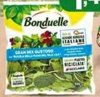 Supermercato Pollio BONDUELLE GRAN MIX GUSTOSO 100 GR offerta