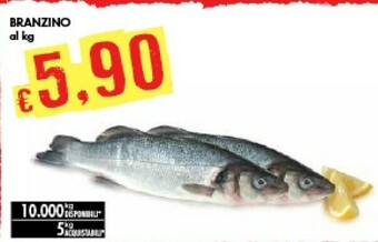 Bennet Branzino offerta