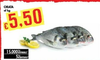 Bennet Orata offerta