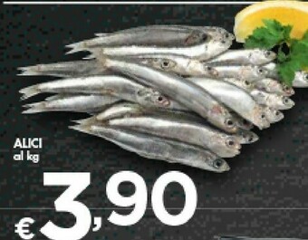 Bennet Alici offerta