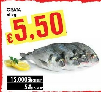Bennet Orata offerta
