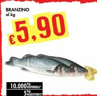 Bennet Branzino offerta