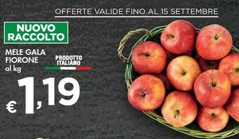 Bennet Mele Gala Fiorone offerta