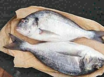 Bennet Orata offerta