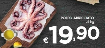 Bennet Polpo Arricciato offerta
