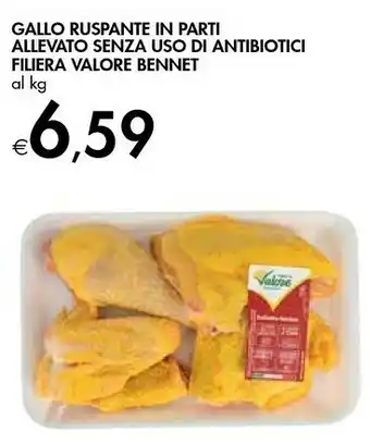 Bennet Gallo Ruspante In Parti Allevato Senza Uso Di Antibiotici offerta