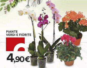 Coop Piante offerta