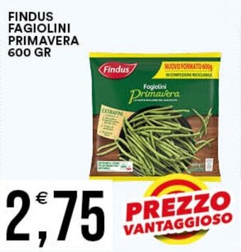 Premium Cash&Carry FINDUS FAGIOLINI PRIMAVERA 600 GR offerta