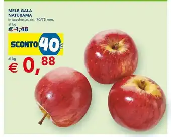 Esselunga Naurama Mele Gala offerta