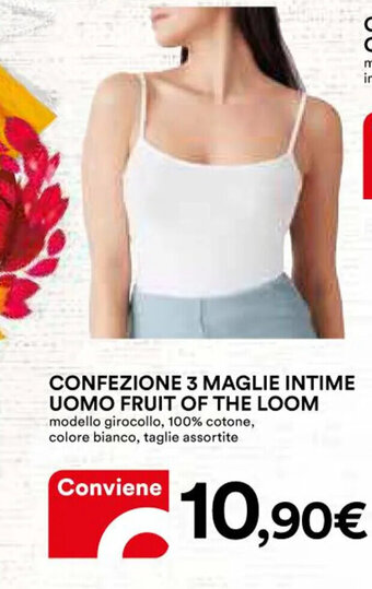 Ipercoop CONFEZIONE 3 MAGLIE INTIME UOMO FRUIT OF THE LOOM offerta