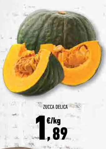 ZUCCA DELICA