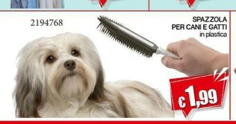 Satur Spazzola Per Cani E Gatti In Plastica offerta