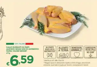 Bennet Gallo Ruspante In Parti offerta