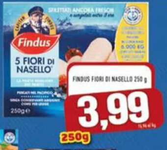MA Supermercati FINDUS FIORI 01 NASELLO 250 g. offerta